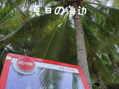 -海南分界洲岛旅游区