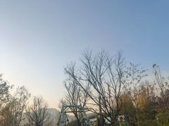 -西部长青自然儿童乐园