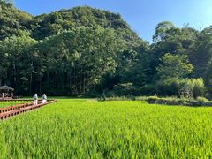 -高荡千年布依古寨旅游景区