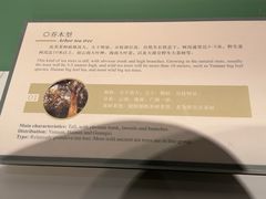 -中国茶叶博物馆(双峰馆区)