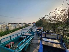 -小鱼草莓采摘园农家乐·小鱼餐厅