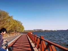 -丁香湖公园