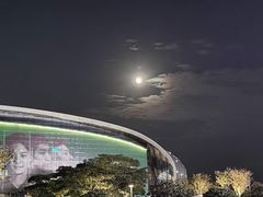 -深圳湾木棉花酒店