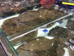 -石塘路海鲜市场(草厂中路店)