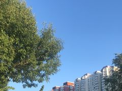 -远洋未来广场(育慧北路店)