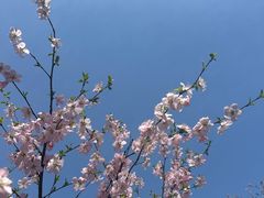 -迎泽公园