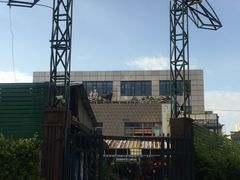 -曲阳花鸟市场(曲阳路店)