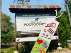 -大象粑粑造纸公园