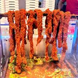 被严重低估的自助餐！🌟价比top！