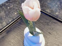 -王家渡火锅店(棕榈泉店)