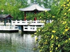 -西海子公园