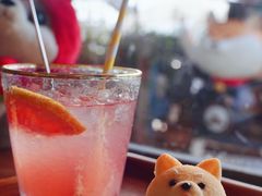 西柚苏打-柴犬高等学院·狗咖·柴犬售卖·宠物训练