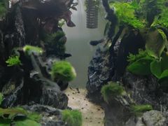 -火锅岛潮牌自助餐厅(天津天佑城店)