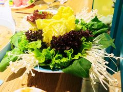 -青瓷火锅料理(西单大悦城店)
