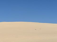 -库伦旗银沙湾旅游景区