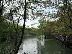 -白马涧龙池景区