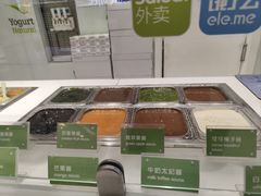 -Salud撒露欧洲冻酸奶(蓝色港湾店)