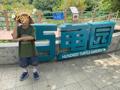 -广东惠东海龟国家级自然保护区