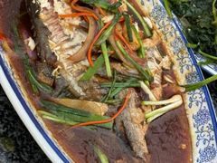 -霞姐屯昌枫木香草鸭店(海螺店)
