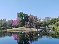 -四海公园(南山区)