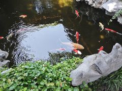 -鲤院·新中式美学·庭院餐厅(夫子庙店)