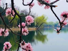 -颐和园