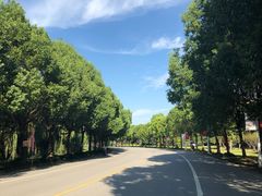 -东华大学(松江校区)