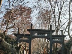 -杭州黄龙洞