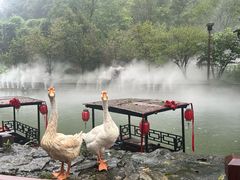 -车溪民俗旅游区