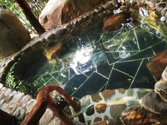 -观唐（国际）度假村温泉