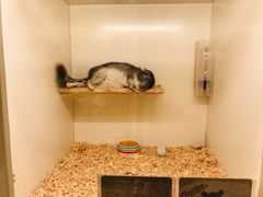 -龙猫仔乐园(惠福东路店)