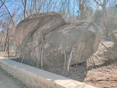 -白水寺森林公园