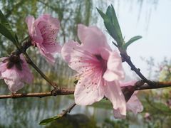 -滨湖塘西河公园