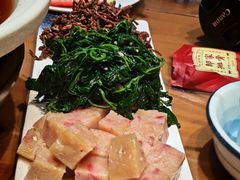 -真定郝家排骨(正定县总店)