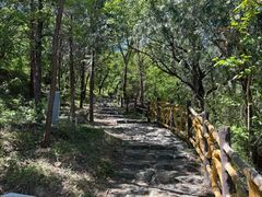 -阳台山自然风景区