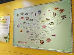 -上海昆虫博物馆