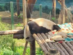 -大连森林动物园