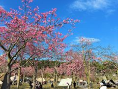 -风云岭森林公园