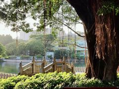 -荔枝公园(福田区)