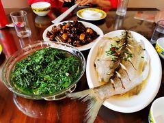 -太湖好灶头土菜馆(石公路店)