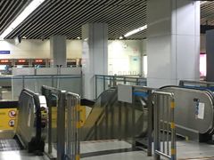 -东方体育中心(地铁站)