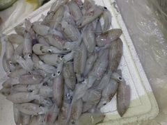 -金鸡岭农贸市场