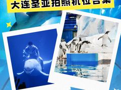 -大连圣亚海洋世界