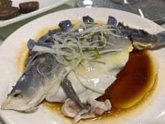 荷花鱼-夏雨路轩特色餐厅·十年经营