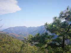 -四明山国家森林公园