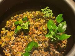 -瓦舍茶馆(聚源路店)