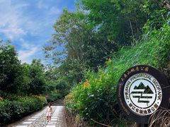 -磐安舞龙峡景区