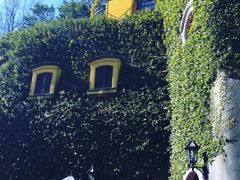 -三鹰之森吉卜力美术馆