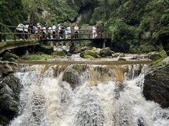 -牛背梁国家森林公园