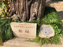 -汇龙潭